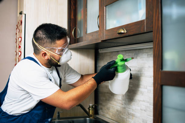  Garland, TX Pest Control Pros