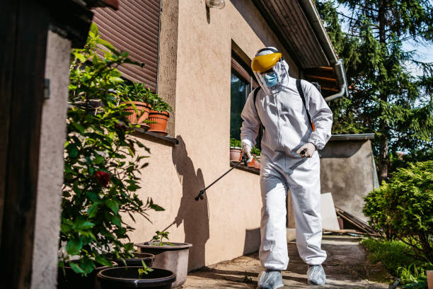 Flea Control Services in Garland, TX