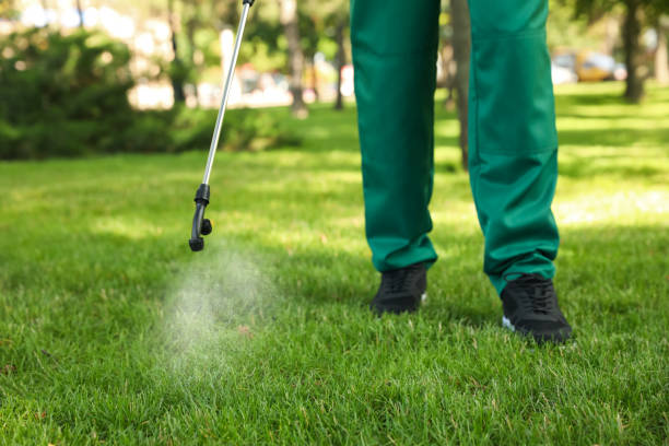 Best Emergency Pest Control  in Garland, TX