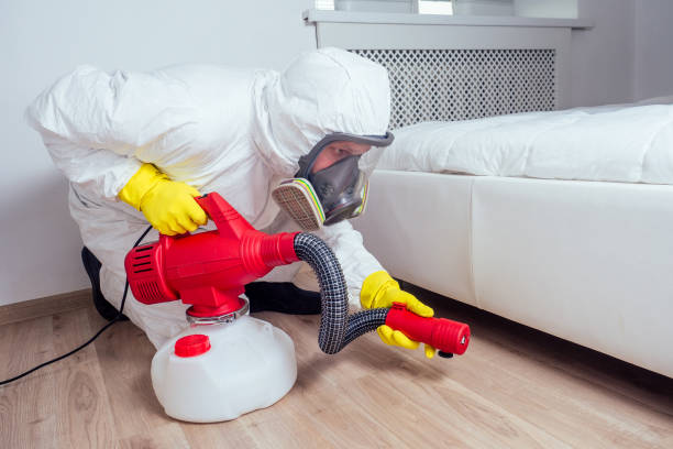 Best Bed Bug Extermination  in Garland, TX