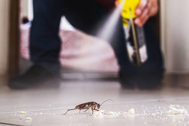 Best Termite Control Services  in Garland, TX