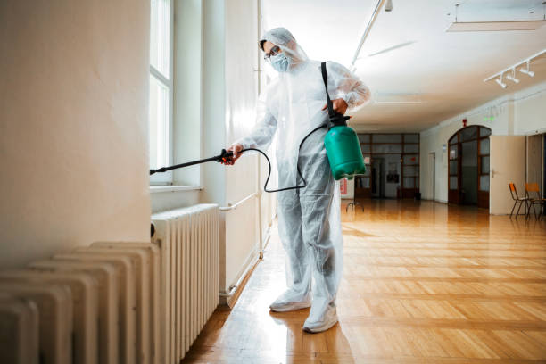 Wasp Removal Services in Garland, TX