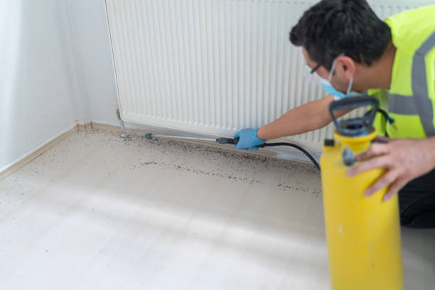 Best Best Pest Control Companies  in Garland, TX