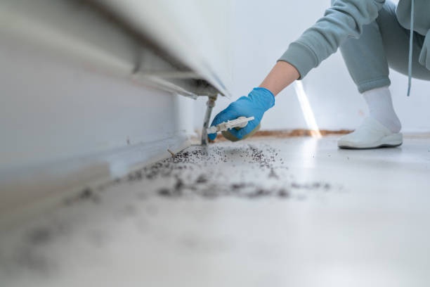 Professional Pest Control in Garland, TX